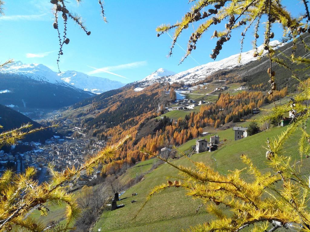 Agriturismo Raethia Isolaccia Exteriér fotografie