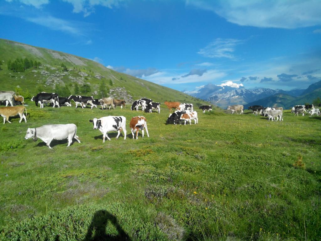 Agriturismo Raethia Isolaccia Exteriér fotografie