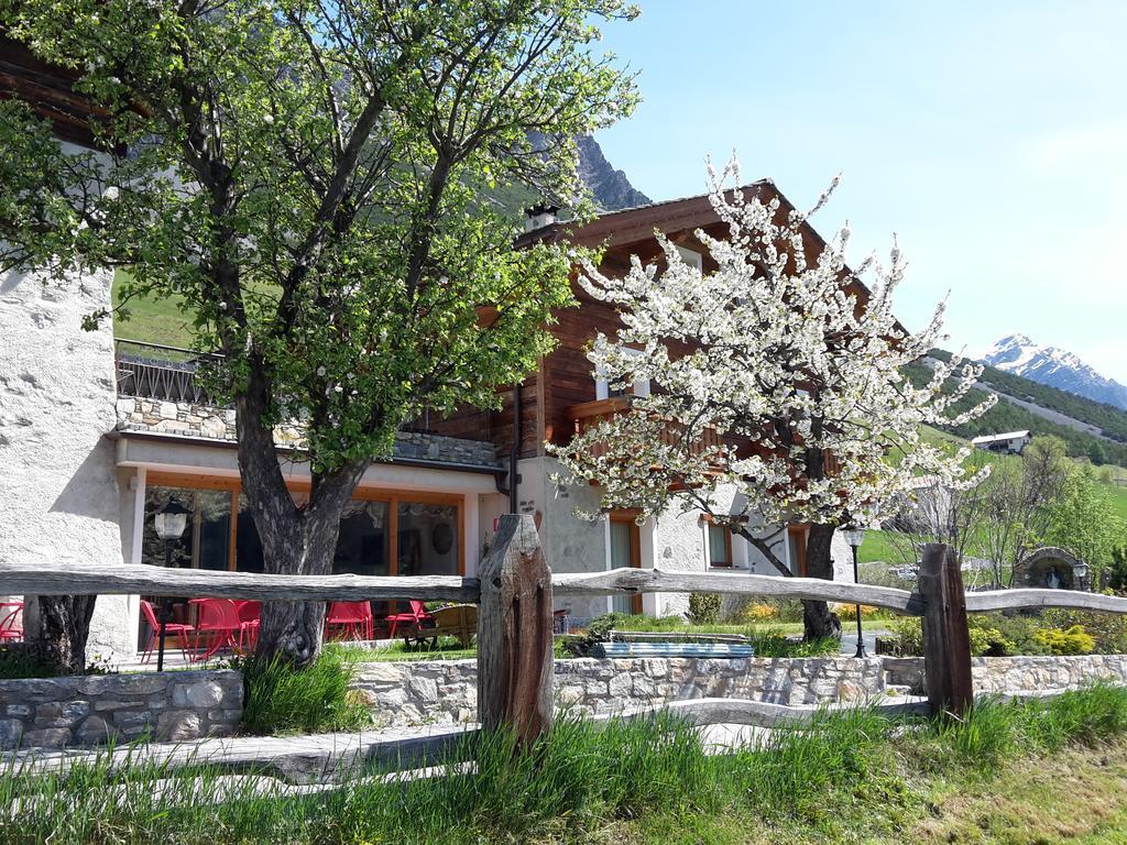 Agriturismo Raethia Isolaccia Exteriér fotografie