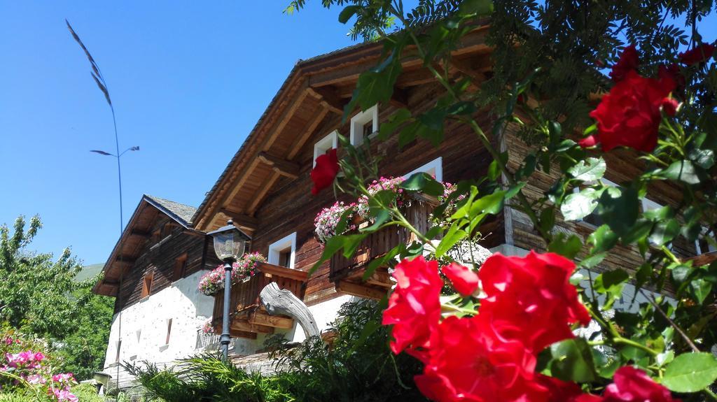 Agriturismo Raethia Isolaccia Exteriér fotografie